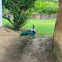 фото из отзыва ID 2724876