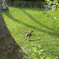 фото из отзыва ID 2724876