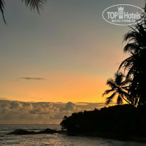 фото из отзыва ID 2724876