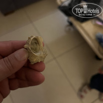 фото из отзыва ID 2724872