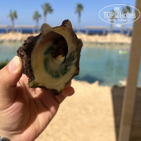 фото из отзыва ID 2724872