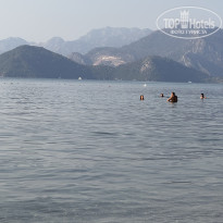 фото из отзыва ID 2724899