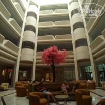 фото из отзыва ID 2724920