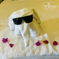 фото из отзыва ID 2724968