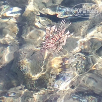 фото из отзыва ID 2724758