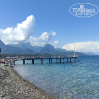 фото из отзыва ID 2724975