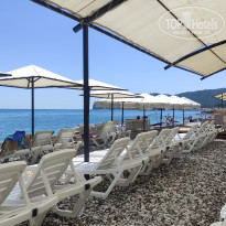 фото из отзыва ID 2724975