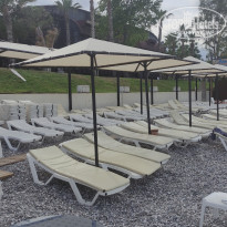 фото из отзыва ID 2724975