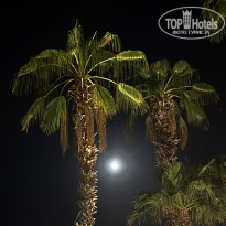 фото из отзыва ID 2724980