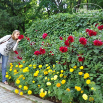 фото из отзыва ID 2724985