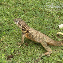 фото из отзыва ID 2724993