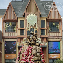 фото из отзыва ID 2724995