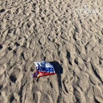 фото из отзыва ID 2724998