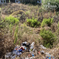 фото из отзыва ID 2724998