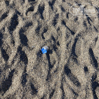 фото из отзыва ID 2724998