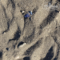 фото из отзыва ID 2724998