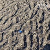 фото из отзыва ID 2724998