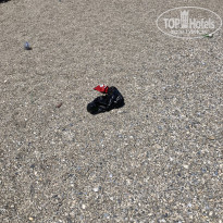 фото из отзыва ID 2724998