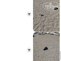 фото из отзыва ID 2724998