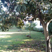 фото из отзыва ID 2725010