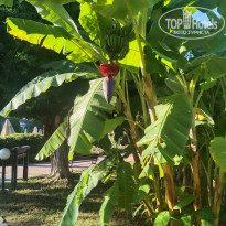 фото из отзыва ID 2725010