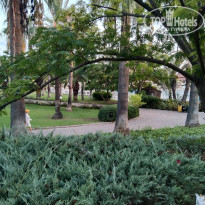 фото из отзыва ID 2725010