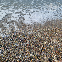 фото из отзыва ID 2725017