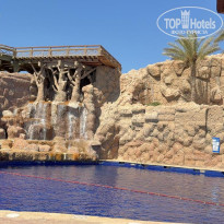 фото из отзыва ID 2725023