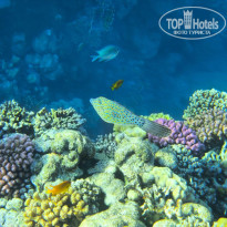 фото из отзыва ID 2725023