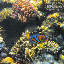 фото из отзыва ID 2725023