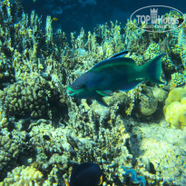 фото из отзыва ID 2725023