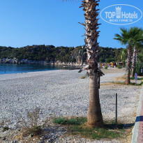 фото из отзыва ID 2725047