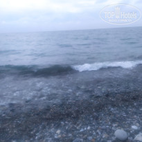 фото из отзыва ID 2725078