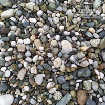 фото из отзыва ID 2725078