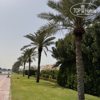 фото из отзыва ID 2725087