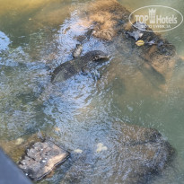 фото из отзыва ID 2725005