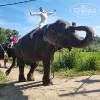 фото из отзыва ID 2725005