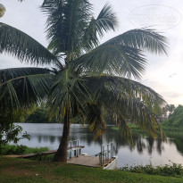 фото из отзыва ID 2725005