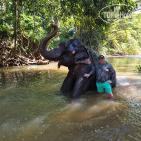 фото из отзыва ID 2725005