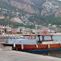 фото из отзыва ID 2724838