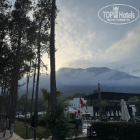 фото из отзыва ID 2725097