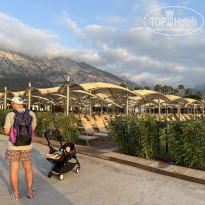 фото из отзыва ID 2725097