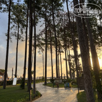 фото из отзыва ID 2725097