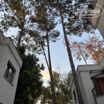 фото из отзыва ID 2725097