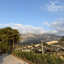 фото из отзыва ID 2725097