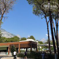 фото из отзыва ID 2725097