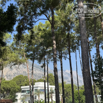 фото из отзыва ID 2725097