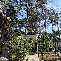 фото из отзыва ID 2725097