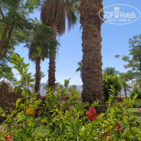 фото из отзыва ID 2725113