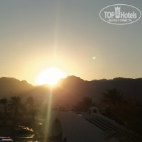 фото из отзыва ID 2725113